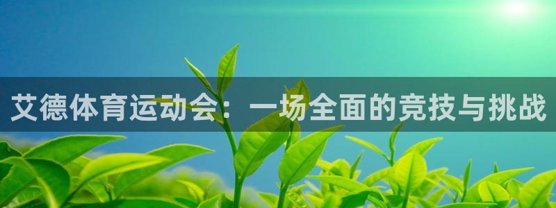 哈哈体育十年