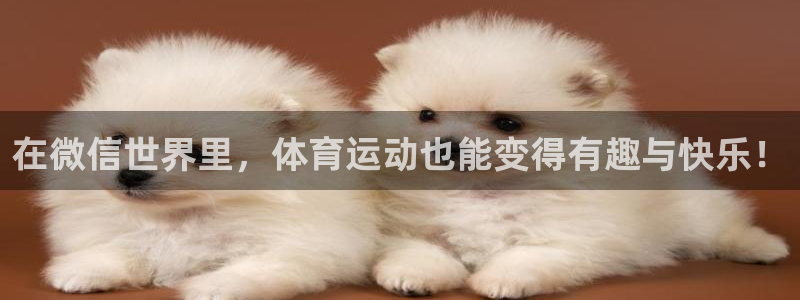 哈哈体育下载