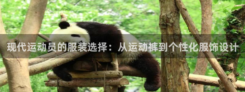 哈哈体育下载