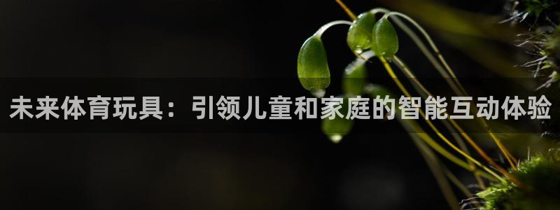 哈哈体育