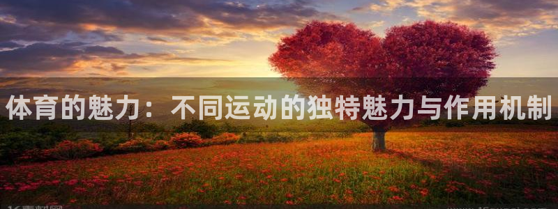 哈哈体育