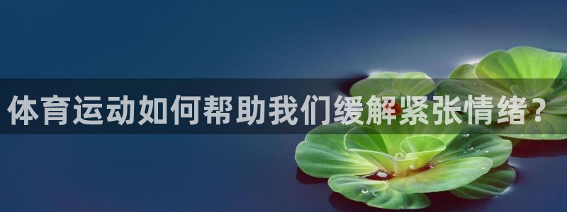 哈哈体育