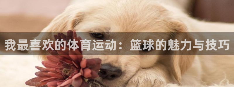 哈哈体育十年