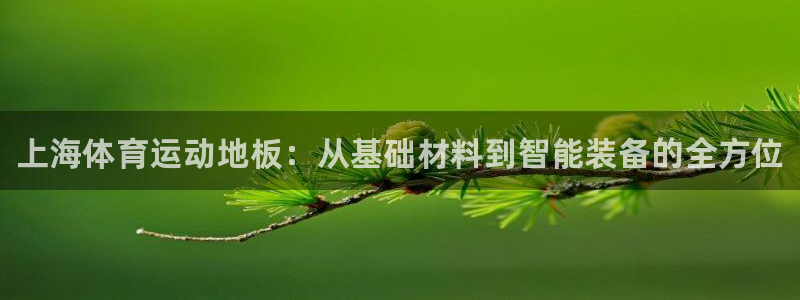 哈哈体育