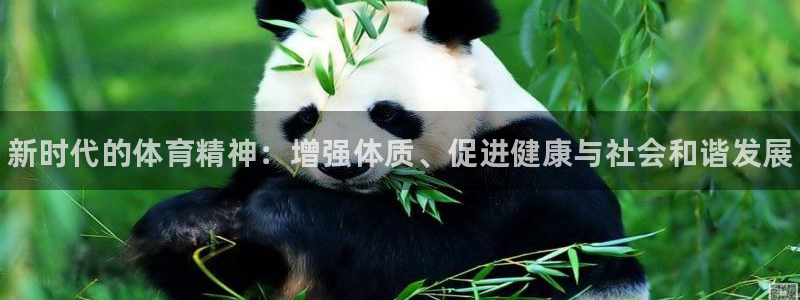 哈哈体育下载